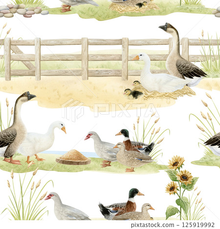 Watercolor geese and ducks on farm seamless pattern on white. Poultry yard birds with wooden fence, sunflowers and grass in hand drawn realistic style. Summer farm repeat background in brown green 125919992