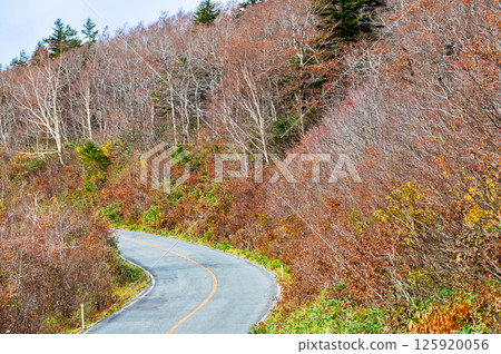 染上秋葉的藏王Echo Line 125920056