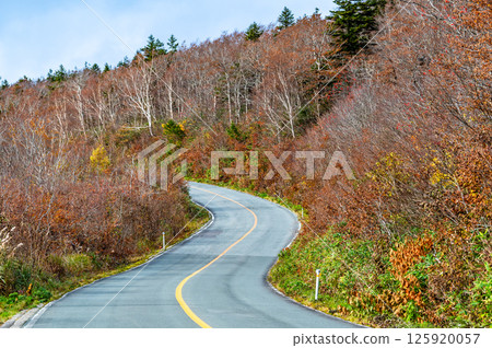 Zao Echo Line dyed in autumn leaves Zao Echo Line dyed in autumn leaves 125920057