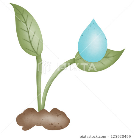 Seedlings and water drops on seedling leaves hand drawn transparency illustration 125920499