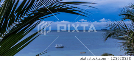 Kenya Photographers By Antony Trivet Photography Kenya Photographers By Antony Trivet Photography 125920528
