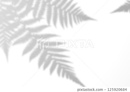 Fern branch shadow. Leaf shadow overlay. Sunlight trough the leaf. Nature organic shadow. Blurred Leaf shadow and light on wall background. 3d rendering Fern branch shadow. Leaf shadow overlay. Sunlight trough the leaf. Nature organic shadow. Blurred Leaf shadow and light on wall background. 3d rendering 125920684