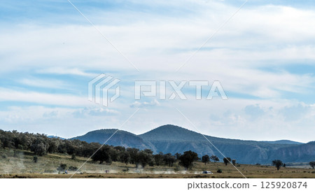 Kenya Photographers By Antony Trivet Photography Kenya Photographers By Antony Trivet Photography 125920874