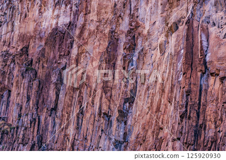Kenya Photographers By Antony Trivet Photography Kenya Photographers By Antony Trivet Photography 125920930