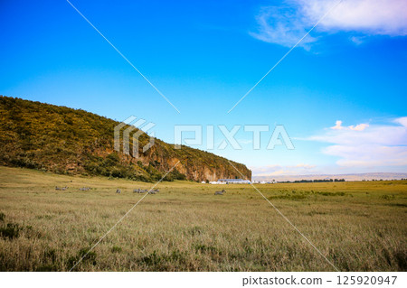 Kenya Photographers By Antony Trivet Photography 125920947