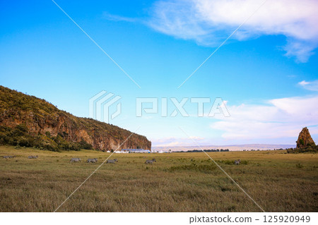 Kenya Photographers By Antony Trivet Photography 125920949