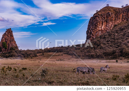 Kenya Photographers By Antony Trivet Photography 125920955