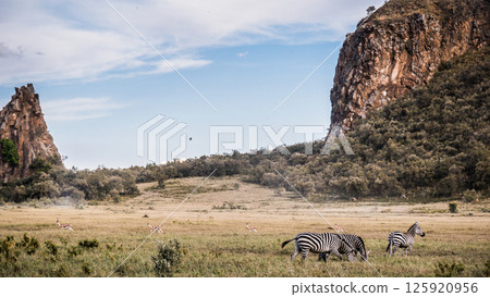 Kenya Photographers By Antony Trivet Photography 125920956