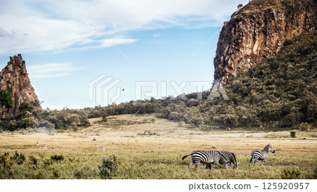 Kenya Photographers By Antony Trivet Photography 125920957