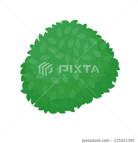 圓形灌木叢的插圖 125921395