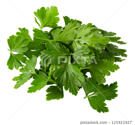 Bunch leaves parsley isolated over white background Bunch leaves parsley isolated over white background 125921927