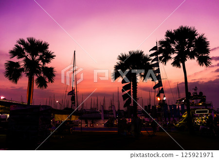 Beautiful view of marina and harbor with yachts and motorboats. 125921971