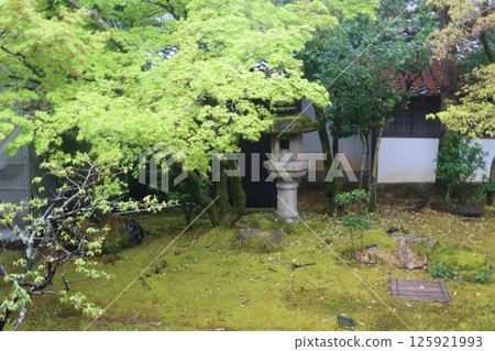 仁和寺白書室的花園 125921993