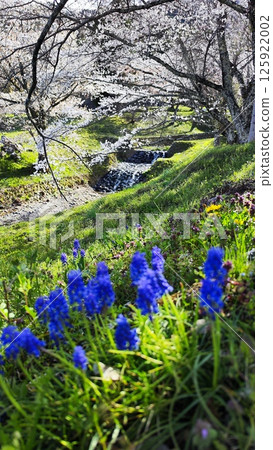 霞關的自然風光將籠罩您的心。 125922002