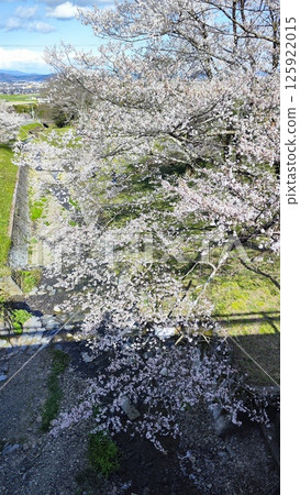 霞關的自然風光將籠罩您的心。 125922015