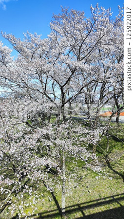 霞關的自然風光將籠罩您的心。 霞關的自然風光將籠罩您的心。 125922017