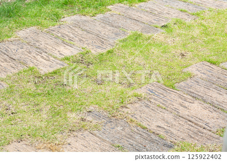 A parking lot made of sleepers in a grassy garden A parking lot made of sleepers in a grassy garden 125922402