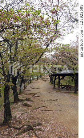 工保山墓 125922699