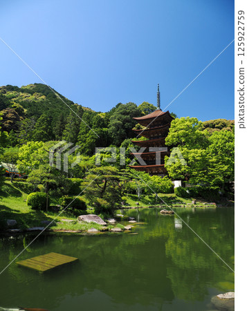 Rurikoji Temple Five-Story Pagoda 2025 125922759