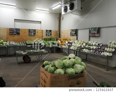 澳洲羅克漢普頓 Doblo 農夫市集的展示貨架 125922837