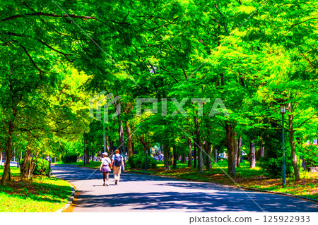 Fresh greenery in Osaka Castle Park and an inbound couple 125922933