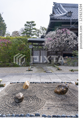 Kyoto Hojuji Temple - Pilgrimage plum tree and front garden next to the main hall 125923294