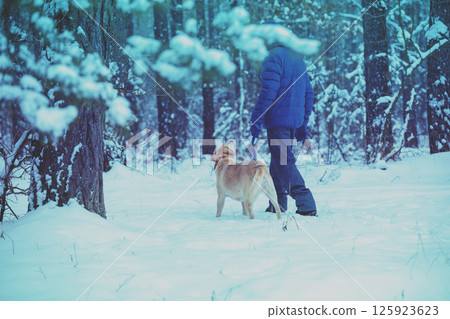 Man and dog are best friends. A man and a dog on a leash walk through a snowy forest during a snowstorm 125923623