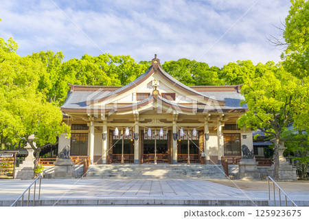 湊川神社本社 湊川神社本社 125923675