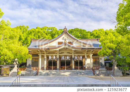 Minatogawa Shrine Main Shrine Minatogawa Shrine Main Shrine 125923677
