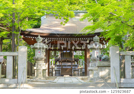 Minatogawa Shrine, Kikusui Tenmangu Shrine (Kobe City, Hyogo Prefecture) Minatogawa Shrine, Kikusui Tenmangu Shrine (Kobe City, Hyogo Prefecture) 125923687