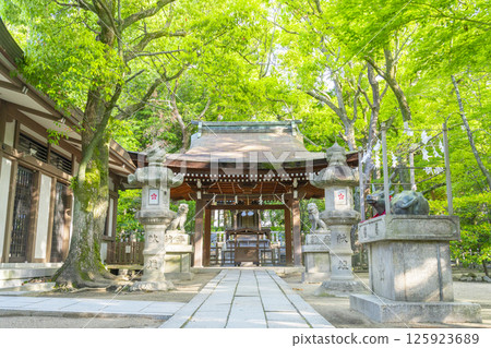 Minatogawa Shrine, Kikusui Tenmangu Shrine (Kobe City, Hyogo Prefecture) 125923689