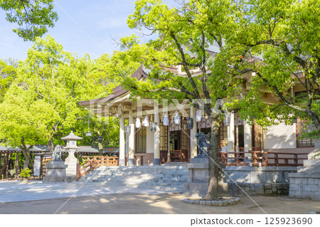 湊川神社本社 125923690