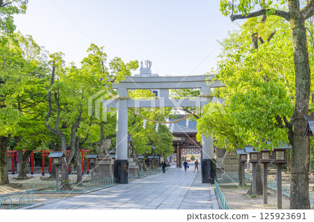 湊川神社：通往神社的石板路和一座大鳥居 125923691