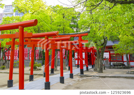 湊川神社、楠本稻荷神社(兵庫縣神戶市) 湊川神社、楠本稻荷神社(兵庫縣神戶市) 125923696