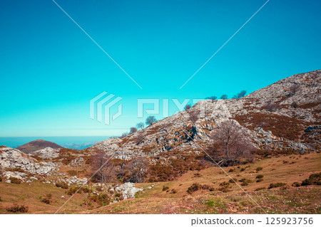 Mountain rocky landscape. Cantabrian Mountains, Picos de Europa national park, Spain, Europe 125923756