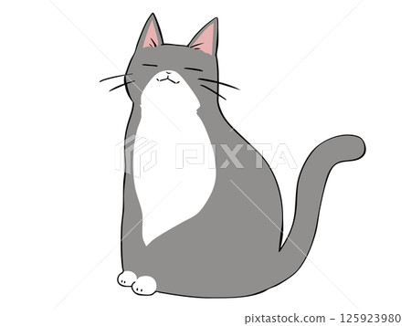 灰貓坐著 灰貓坐著 125923980