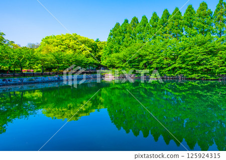Fresh greenery and outer moat of Osaka Castle Park Fresh greenery and outer moat of Osaka Castle Park 125924315