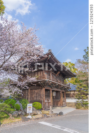 [No. 1 Fudasho] Niomon gate of the sacred mountain temple in which cherry blossoms bloom [Shikoku 88 places] 125924393