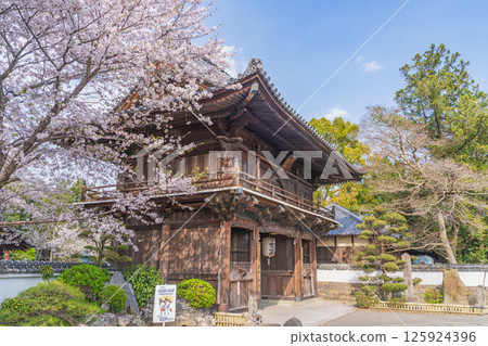 [No.1 Fudasho]櫻花盛開的神山寺廟的Niomon門[四國88處] 125924396