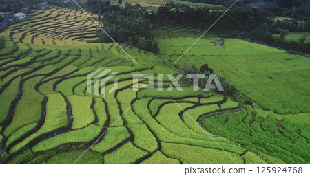 Rice terraces hillside slopes, green and gold harvest. Rural landscape pattern, farmers cultivating rice in remote region. Indonesia, Flores island, Ende. Natural background. Aerial drone flight Rice terraces hillside slopes, green and gold harvest. Rural landscape pattern, farmers cultivating rice in remote region. Indonesia, Flores island, Ende. Natural background. Aerial drone flight 125924768