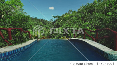 Luxury infinity swimming pool overlooks a vibrant tropical jungle valley forest, offering breathtaking views of nature beauty and creating a serene escape. Exotic travel vacation getaway. Drone flight Luxury infinity swimming pool overlooks a vibrant tropical jungle valley forest, offering breathtaking views of nature beauty and creating a serene escape. Exotic travel vacation getaway. Drone flight 125924991