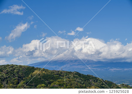 Landscape captures the peaceful coexistence of urban life and nature in rural Japan. In the distance, the iconic Mount Fuji rises majestically, Shizuoka Japan 125925028