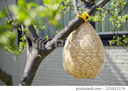 假蜂巢 假蜂巢 125925174