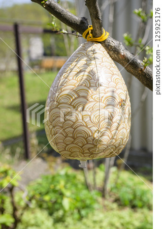 Dummy beehive 125925176