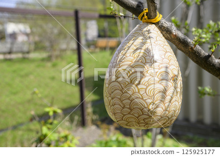 Dummy beehive Dummy beehive 125925177