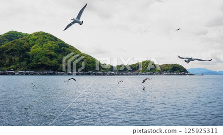 Ine Town, Kyoto Prefecture - Funaya ⑯ 125925311