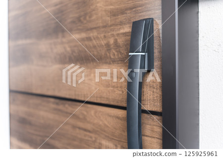 入口門把手 125925961