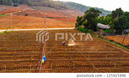 Aerial view of tractor plowing in spring. Tractor drives preparing beds for planting seedlings in cultivated soil. Aerial view of tractor plowing in spring. Tractor drives preparing beds for planting seedlings in cultivated soil. 125925996