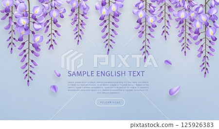 Rich purple wisteria flowers and a gentle blue background 125926383