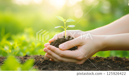 雙手捧著樹苗和土壤的環保生態形象 125926422